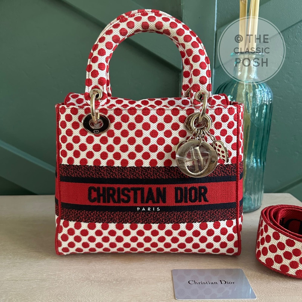 EUC Rare Christian Dior Lady D Lite Dioramour 2020 Lady Bug Dots Satchel Bag - Picture 1 of 16